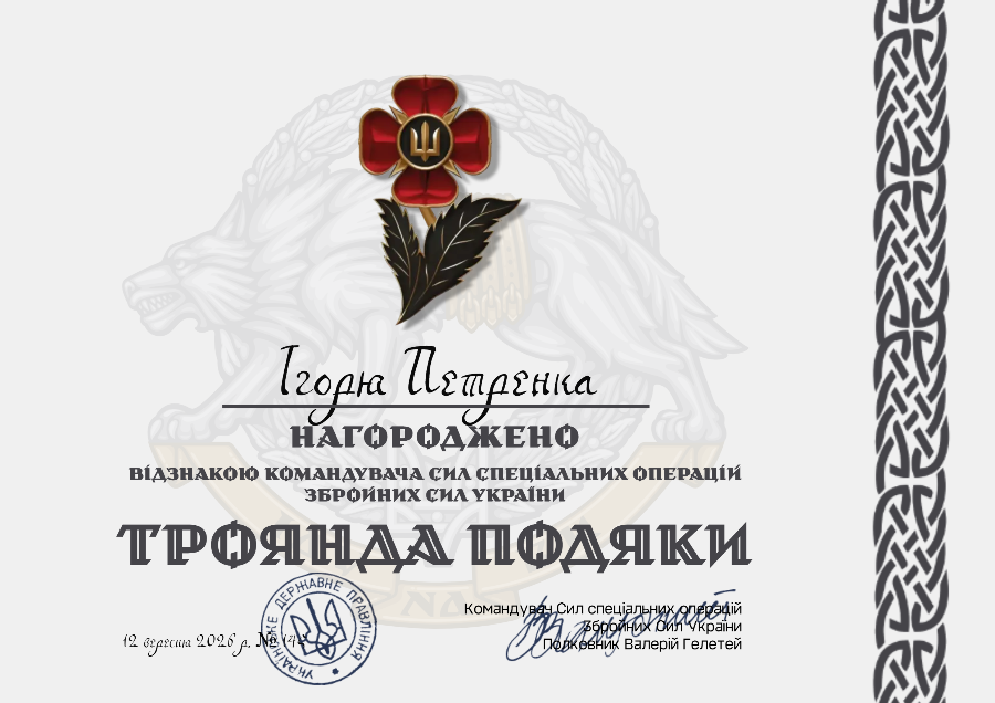Зразок грамоти ЗСУ з кельтською рамкою, альбомний шаблон А4